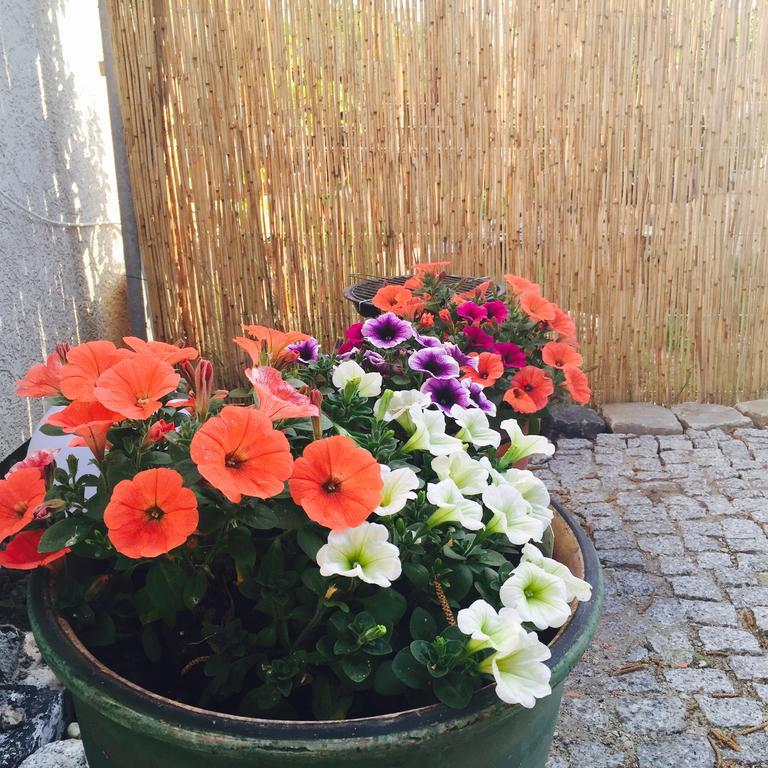 Apartament Arte Povera Słubice Exteriör bild